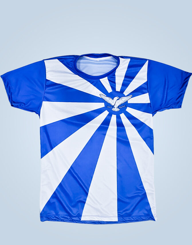 Camiseta Masculina - Bandeira